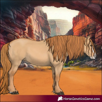 Horse Color:Red Dun Splash 