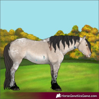 Horse Color:Brown Ice Dun Sabino