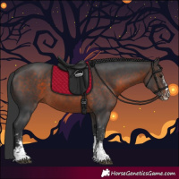 Horse Color:Brown Sabino 