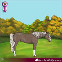 Horse Color:Silver Black