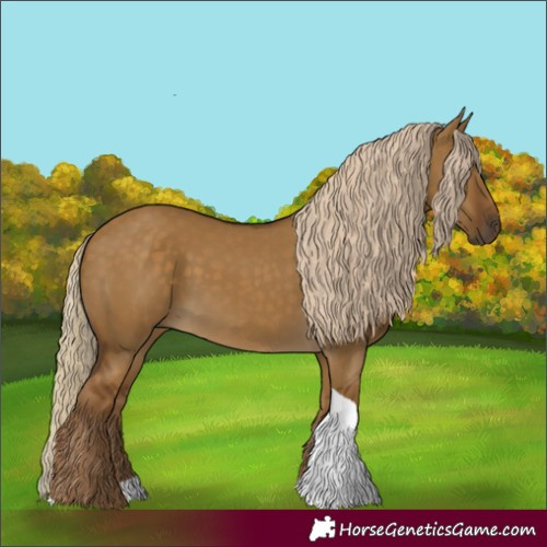Horse Color:Chocolate Palomino Dun Tobiano 