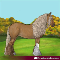 Horse Color:Chocolate Palomino Dun Tobiano 
