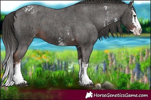 Horse Color:Liver Chestnut Sabino Splash Varnish  and Liver Chestnut Sabino Splash Varnish 