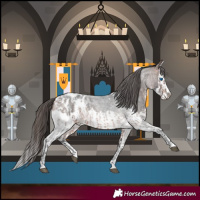 Horse Color:Brown Roan Sabino Splash Appaloosa  and Brown Roan Sabino Splash Appaloosa 