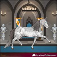 Horse Color:Brown Roan Sabino Splash Appaloosa  and Brown Roan Sabino Splash Appaloosa 