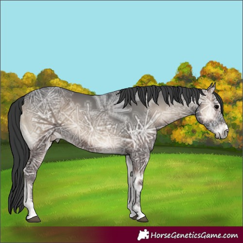 Horse Color:Blue Onyx Ice