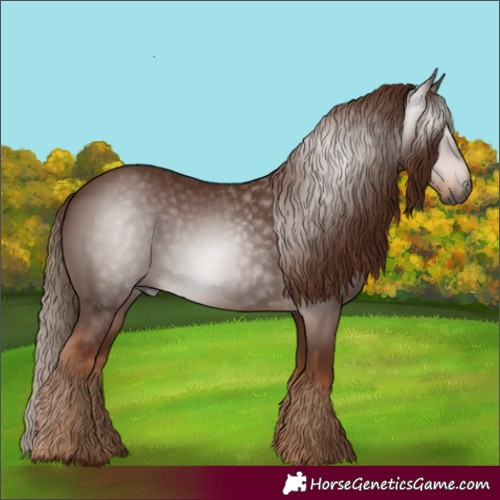 Horse Color:Gray White Spotted Chestnut 
