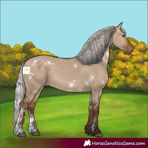 Horse Color:White Spotted Silver Brown Dun Sabino 