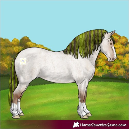 Horse Color:Painted Classic Champagne Roan Dun 