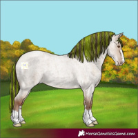 Horse Color:Painted Classic Champagne Roan Dun 