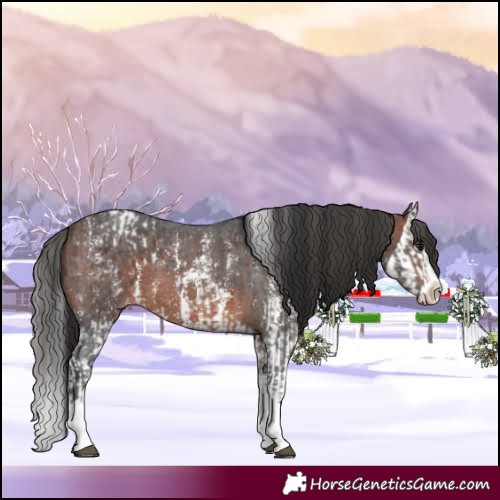 Horse Color:Brown Sabino Splash Blanket  and Brown Sabino Splash 