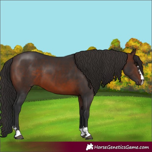 Horse Color:Brown 