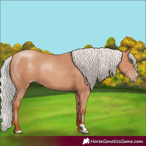 Horse Color:Silver Classic Champagne 