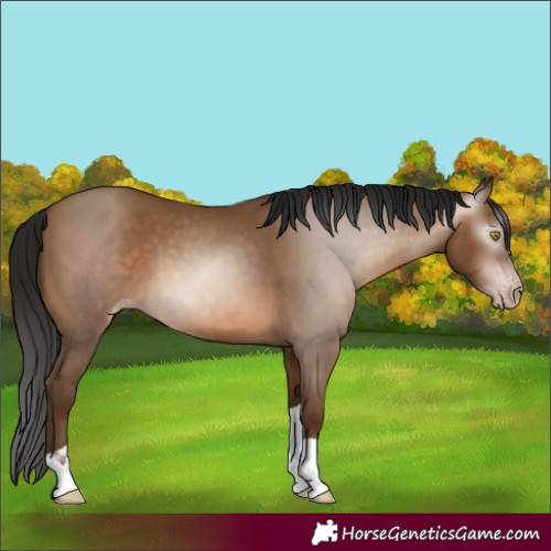 Horse Color:Gray Amber Champagne Tobiano 