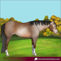 Horse Color:Gray Amber Champagne Tobiano