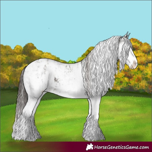 Horse Color:Liver Chestnut Sabino Splash Appaloosa  and Liver Chestnut Sabino Splash Appaloosa 