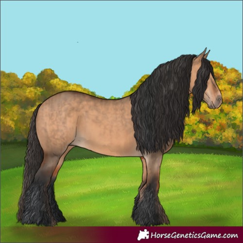 Horse Color:Bay Dun  and Bay Dun 