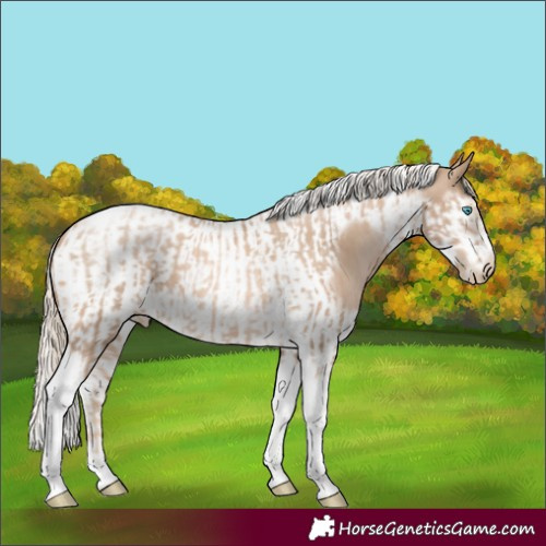 Horse Color:Chocolate Palomino Pearl Tobiano Frame and Chocolate Palomino Pearl Splash Tobiano Frame