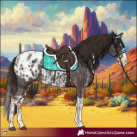 Horse Color:Liver Chestnut Sabino Splash Appaloosa  and Liver Chestnut Sabino Splash Appaloosa 