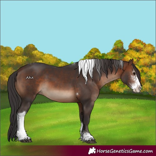 Horse Color:Brown Sabino Tobiano