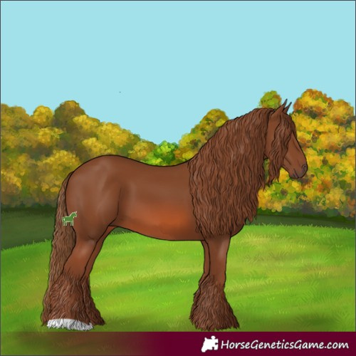 Horse Color:Chestnut 