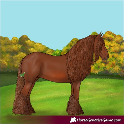 Horse Color:Chestnut 