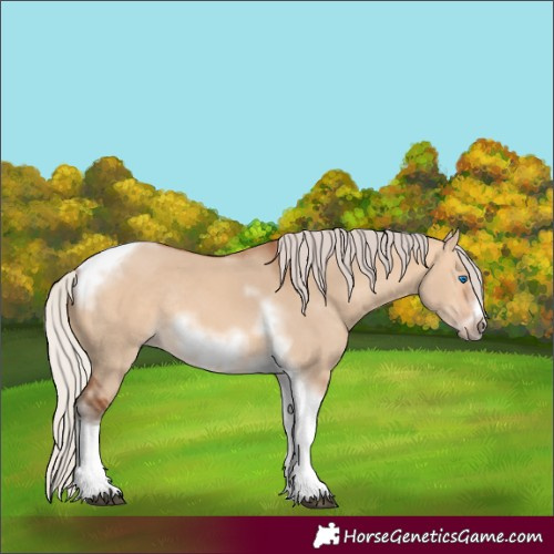 Horse Color:Silver Bay Dun Sabino Tobiano Frame Rabicano 