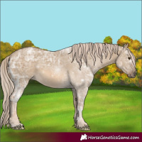 Horse Color:Chocolate Palomino Ice Dun