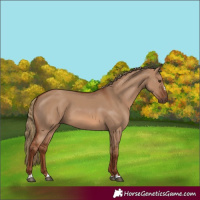Horse Color:Red Dun 