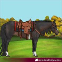 Horse Color:Brown 