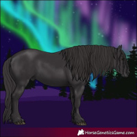 Horse Color:Smoky Black 