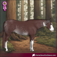 Horse Color:Platinum White Spotted Chocolate Buckskin 