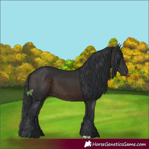 Horse Color:Brown 