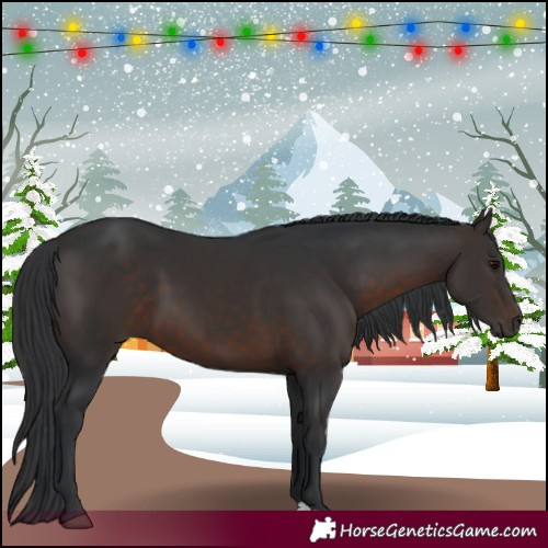 Horse Color:Brown 