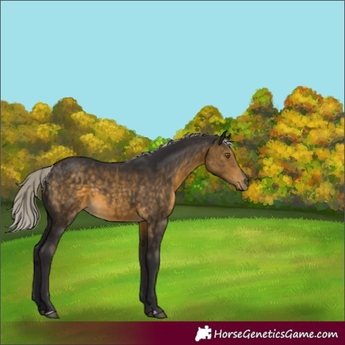 Horse Color:Silver Buckskin Sabino 