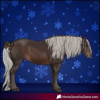 Horse Color:Silver Brown 