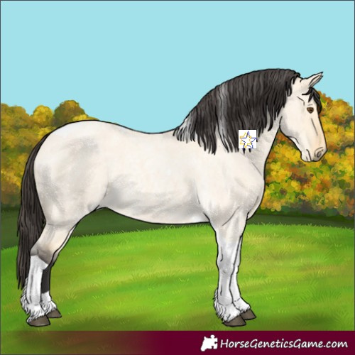 Horse Color:Buckskin Roan Dun Tobiano 