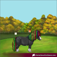 Horse Color:Painted Black 