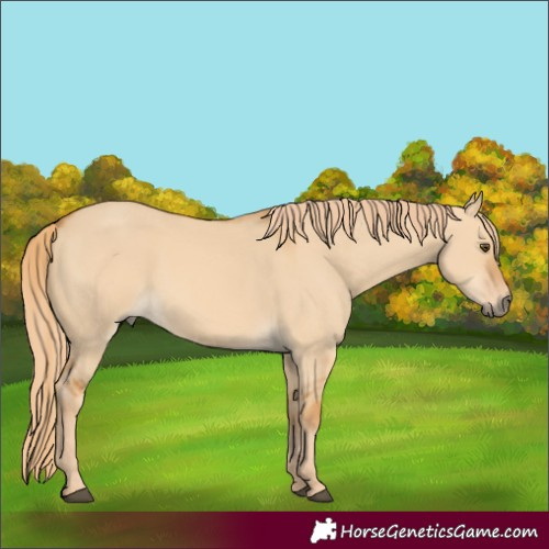 Horse Color:Red Dun