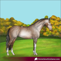 Horse Color:Gray Amber Champagne Tobiano 
