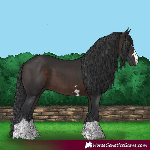 Horse Color:Brown 