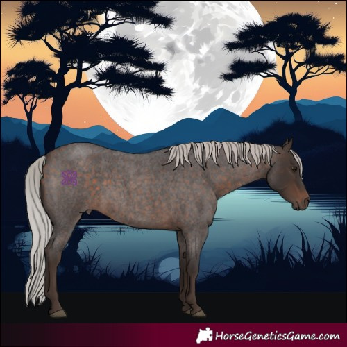 Horse Color:Silver Brown Roan 