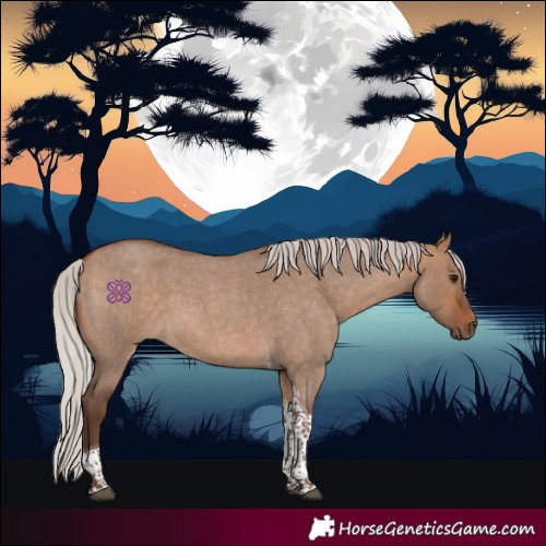 Horse Color:Silver Bay Roan Dun Tobiano 