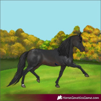 Horse Color:Brown 