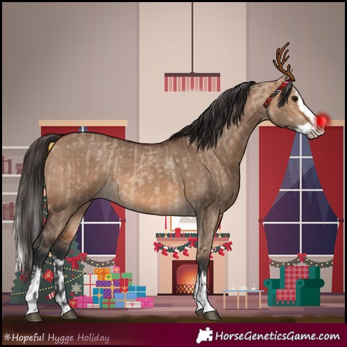 Horse Color:Bay Dun and Bay Dun Splash