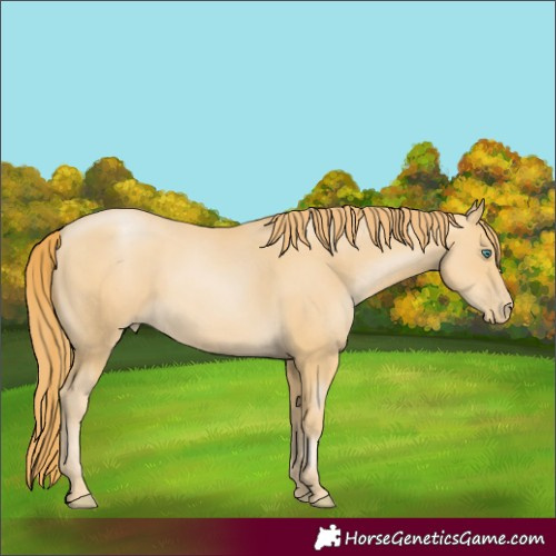 Horse Color:Smoky Black Pearl