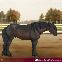 Horse Color:Brown 
