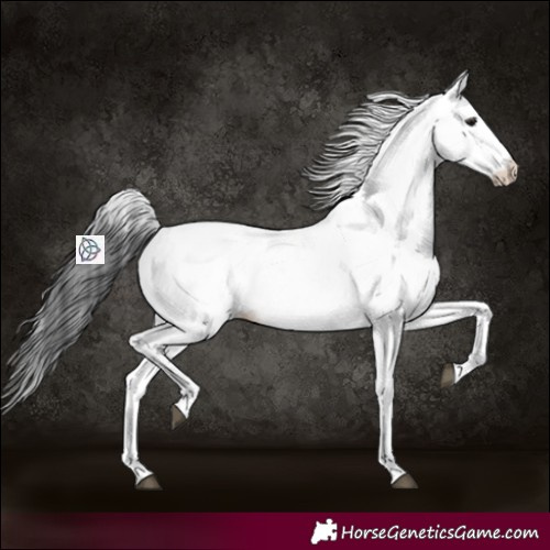 Horse Color:White Spotted Black 