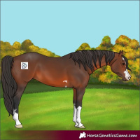 Horse Color:Brown 