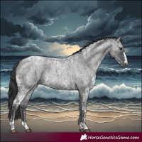 Horse Color:Blue Ice Roan 